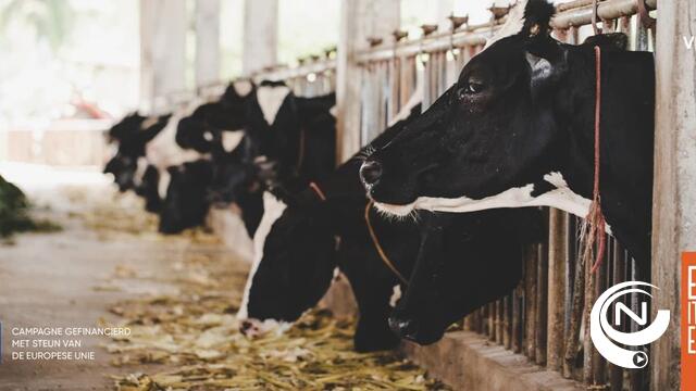  Duurzame toekomst voor de melkveehouderij