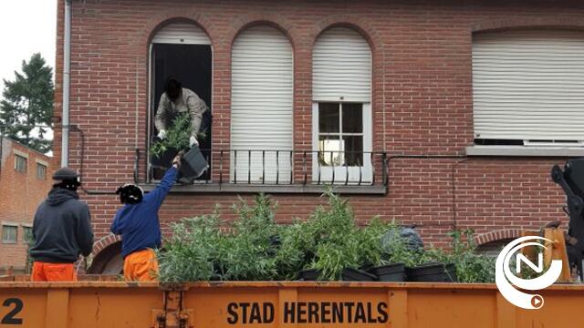 2 grote containers nodig om cannabisplantage in Sint-Jansstraat te ontmantelen