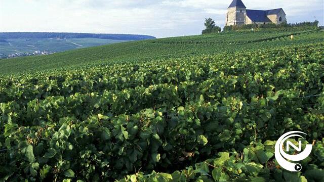 Frankrijk opnieuw de grootste wijnproducent