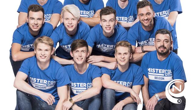 Mister Gay Belgium-finalisten blijven strijden tegen homofobie, en voor verdraagzame samenleving