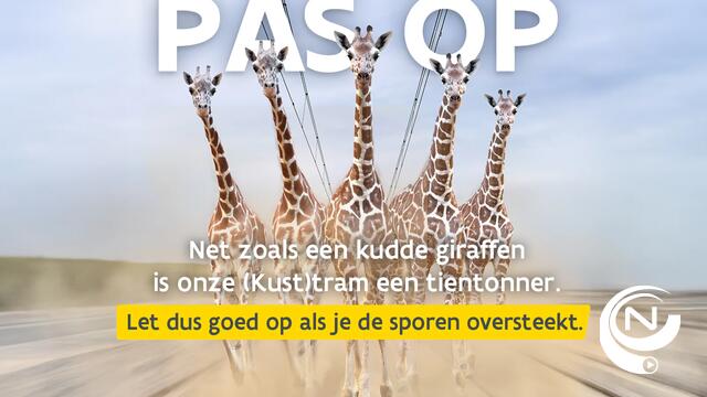 ‘Een tientonner stopt niet zomaar’: De Lijn vraagt oplettendheid bij oversteken van tramsporen 
