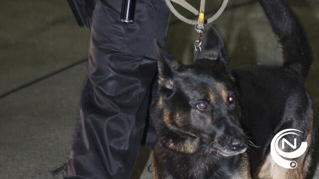 Drugshond 'betrapt' maar liefst 20 personen bij grote politiecontrole in stadspark Geel 