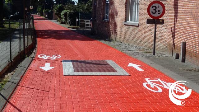 Herenthoutse Maasweg schitterende fietsstraat 