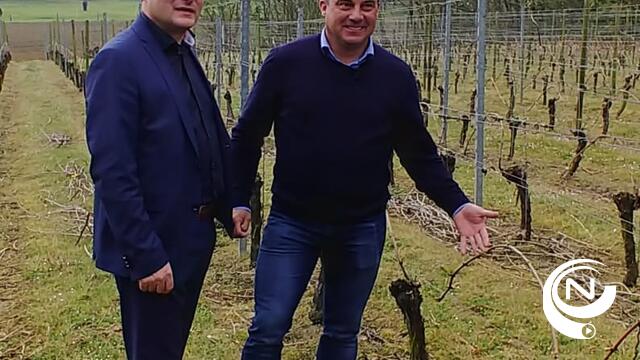 €400.000 subsidie voor verwerving van wijngaarddomein Ten Kapittelberg Herselt