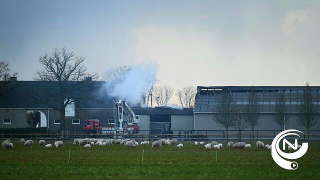 Uitslaande brand in paardenfokkerij Goorhof in Retie : dieren gered