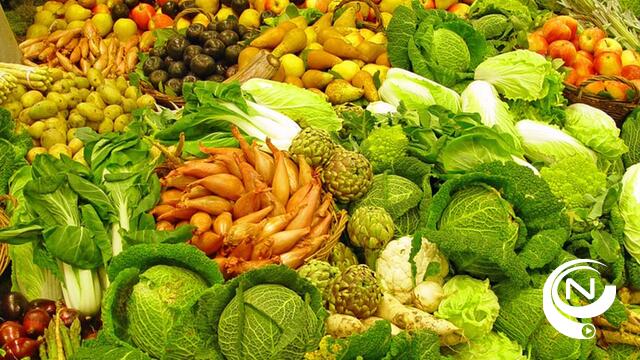 "Variatie is het belangrijkste": Hoge Gezondheidsraad geeft advies over gezond vegetarisch en veganistisch eten