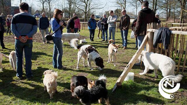 Els Sterckx  : 'Heropenen hondenkapsalons op 11/5, belangrijk voor dierenwelzijn' 