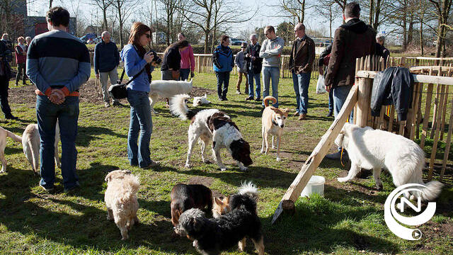 3 extra losloopzones voor honden in Balen, Herenthout en Herentals 
