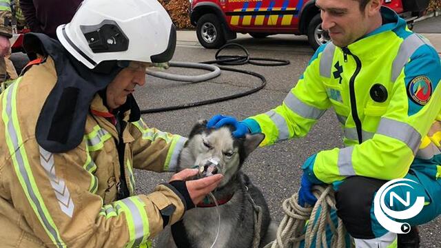 Hond aan zuurstof na woningbrand in Goorkens Geel