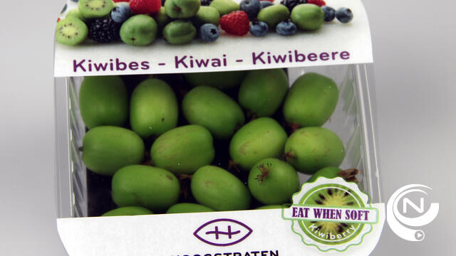 Hoogstraten kiwibessen zijn heerlijk gezond, het beste van onze bodem!