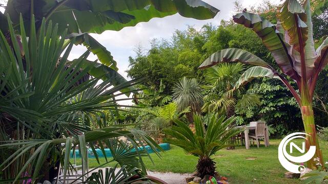Tropische temperaturen in tropische tuin 