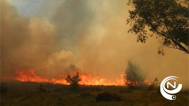 Code rood voor brandgevaar in natuurgebieden Antwerpse Kempen en Limburg 