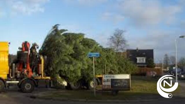 Stadsbestuur Herentals zoekt... kerstboom 