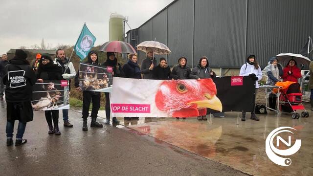 Actievoerders protesteren bij legkippenstal Lokip aan Lochtenberg Merksplas