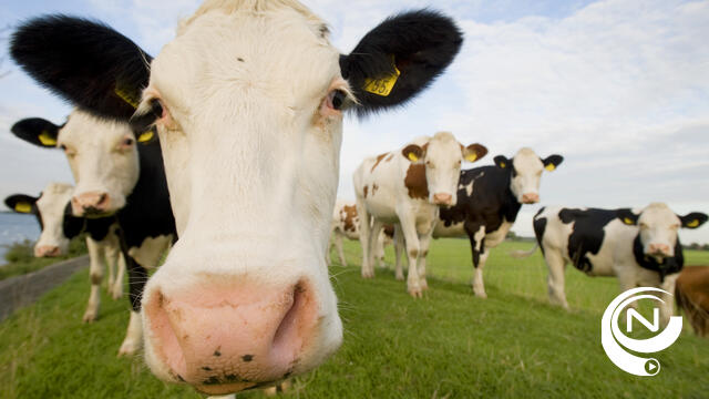 'Fraude door melkveehouders kan riskant zijn voor volksgezondheid'