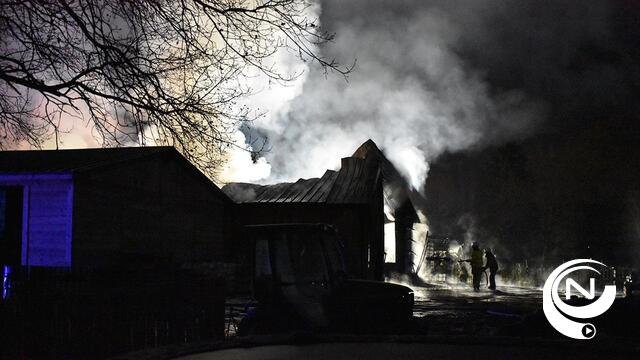  Uitslaande brand legt loods van houtbedrijf Rawcreations in de as in Laakdal
