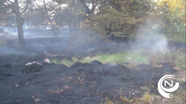 Natuurpunt: Update rond brand in natuurgebied Landschap De Liereman Oud-Turnhout
