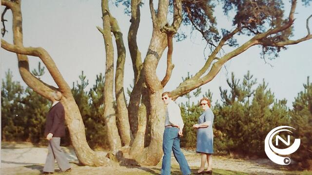 Oude familiefoto’s Achtzalighedenboom gezocht