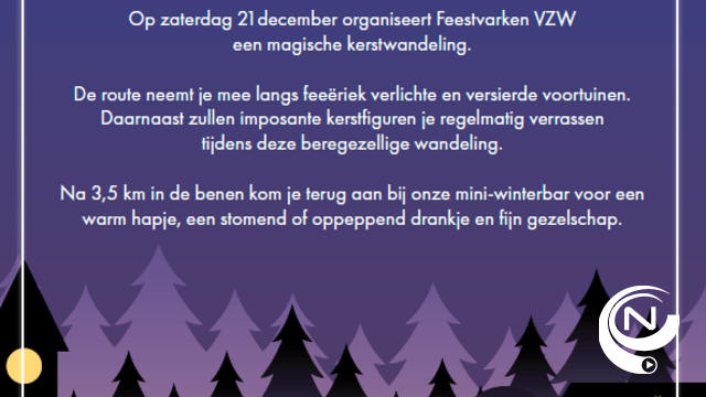 Feestvarken vzw Lille : Walk for a bigger life - kerstwandeling