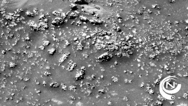 NASA : verschuilt leven op Mars zich in "bloemkoolhoopjes"?
