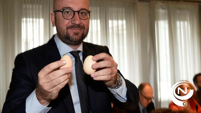Federale regering werkt compensatiemechanisme voor eierbedrijven uit 