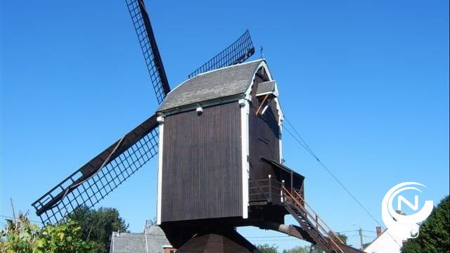 De Antwerpse molens laten de wieken draaien. Welkom op de Molendag