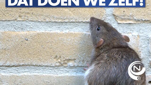 Vlaams Belang Olen start op eigen houtje uitleendienst van rattenvallen 