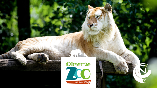 500 bezoekers bij heropening van Olmense Zoo