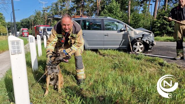 Bestuurster (34) gewond naar ziekenhuis na ongeval op Herentalsesteenweg Grobbendonk, hond ongedeerd