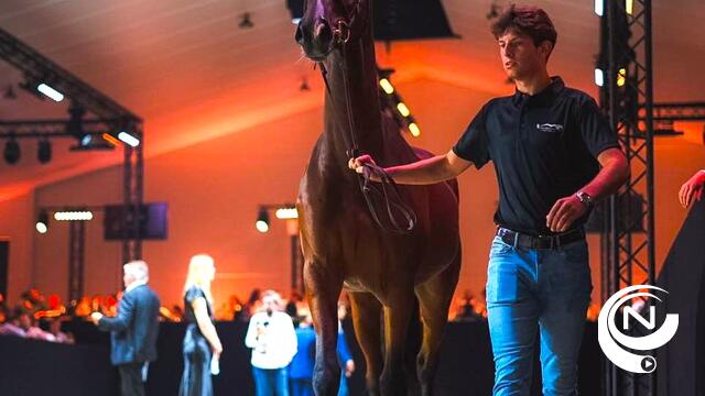 Duurste paardenembryo ter wereld voor €124.000 verkocht op veiling in Geel