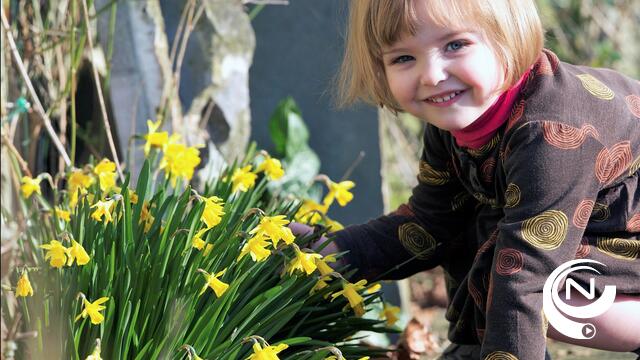 Kasterlee bloeit: 7.000 paasbloemen voor alle inwoners