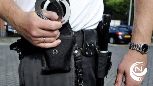 Politie lost 2 waarschuwingsschoten op vluchtende inbreker die in Nete springt 