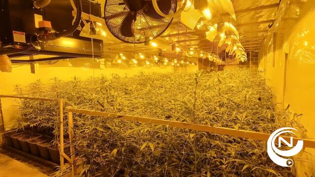 Drugs - politie Geel-Laakdal-Meerhout ontdekt cannabisplantage na anonieme tip : 2 verdachten aangehouden