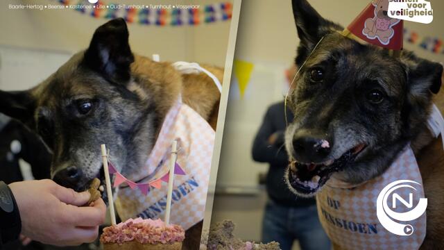Politiehond Miro met pensioen : 'Afscheid vol respect en dank'
