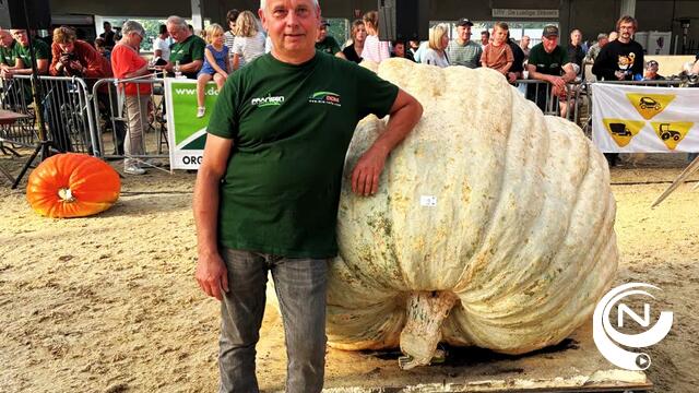 Herman opnieuw Belgisch kampioen met pompoen van 945,5 kg : "Straks samen vieren met...  pompoenbier"
