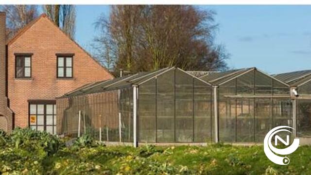 Provincie Antwerpen zoekt glastuinbouwers met interesse in nieuwe teelt