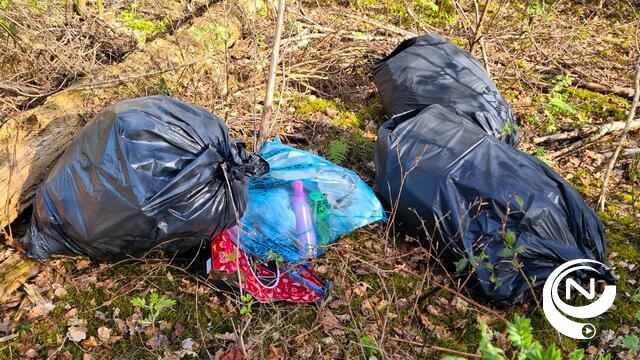 Schande : sluikstort in Herentalse bossen aan Heistraat, buurt Toeristentoren 