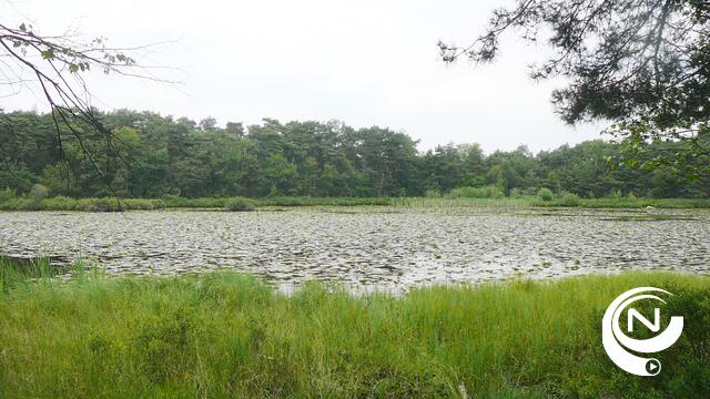 Vlaamse biologen willen Kempense naaldbossen kappen om water te winnen