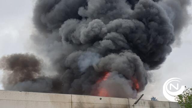 Uitslaande brand vernielt bedrijfshal in Stadsveld - UPDATE : 'brandstichting' jongeren