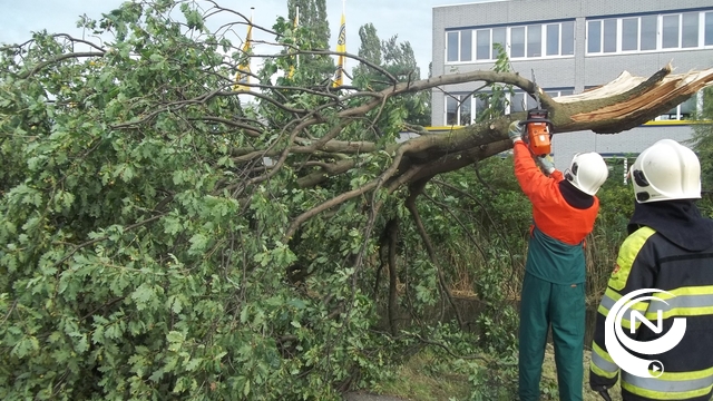 foto nnieuws rr