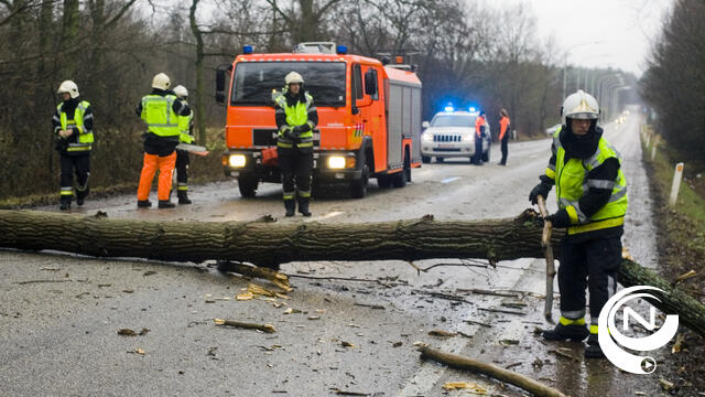Storm Ciara : felle rukwinden tot 130 km/u in Neteland Kempen - 1722 geactiveerd - update 