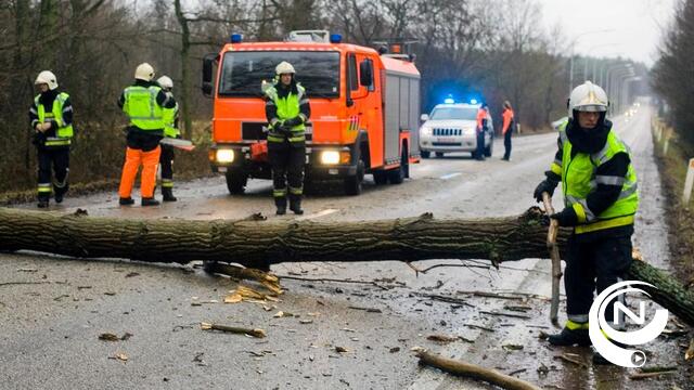 Overzicht stormschade regio Neteland Kempen, 1.500 oproepen' - UPDATE