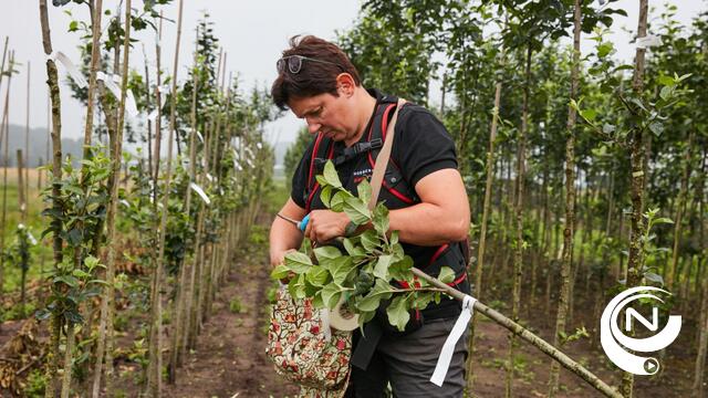 Hoebenschot Plant en Tuin : 'Een fruittuin voor goede doel Talander vzw'