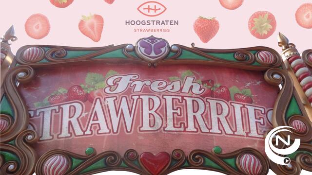 Hoogstraten Strawberries at Tomorrowland
