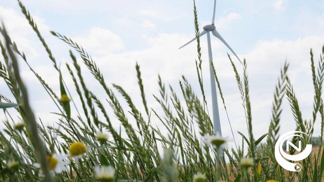 Luminus organiseert online infosessies over windproject in industriezone Hulshout-Heultje