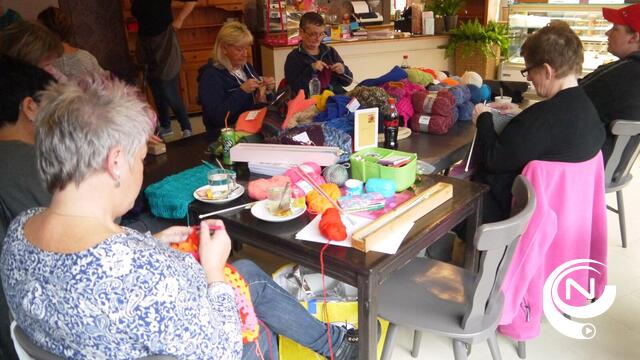 Succesvolle De Wollies en Femma handwerkers met unieke brei- en haaksessie in openlucht op 13 juni 
