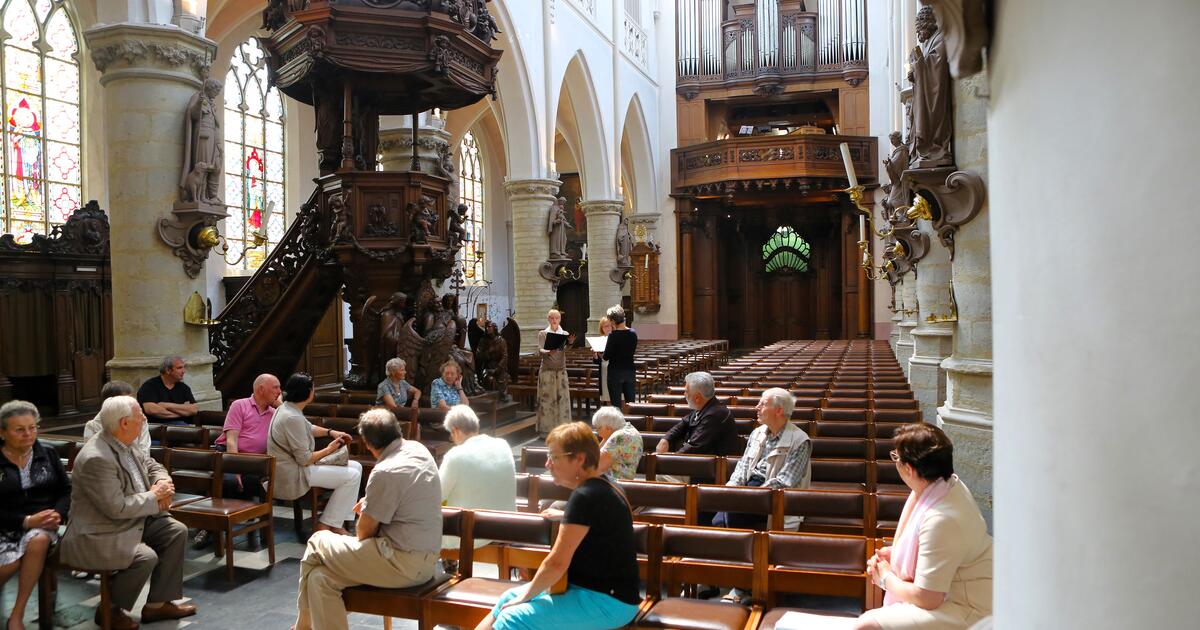 Orgel Sint-Pieter en Pauwel