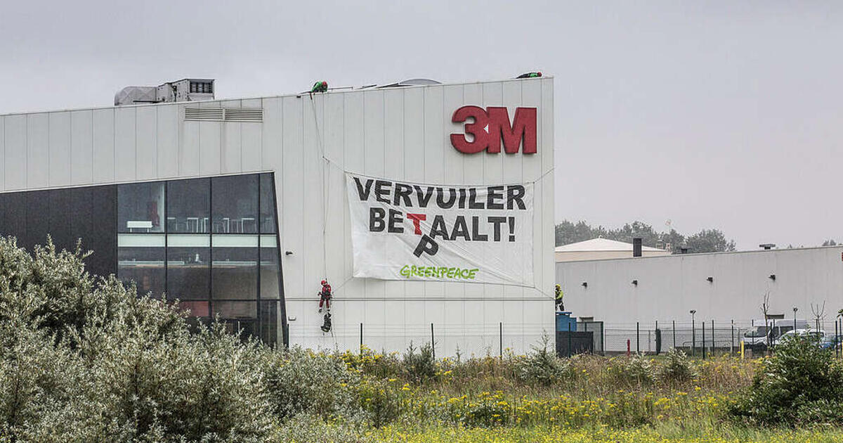 foto Greenpeace rr