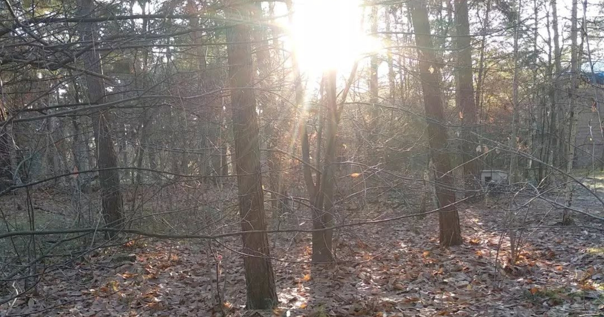 foto nnieuws rr natuurpunt