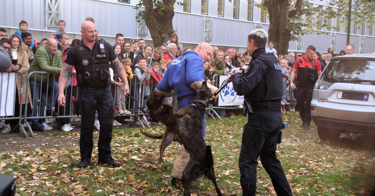 Politie Neteland 